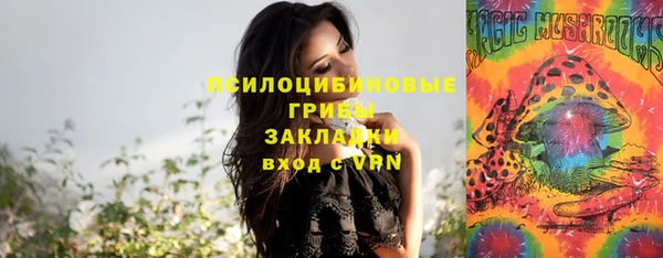круглые Алзамай