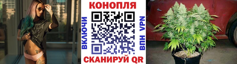 МАРИХУАНА планчик Пенза